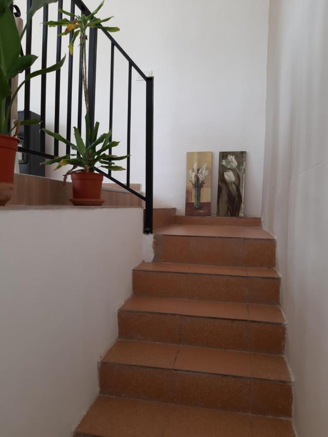 Casa Vitalis 比利亚马钱特 外观 照片